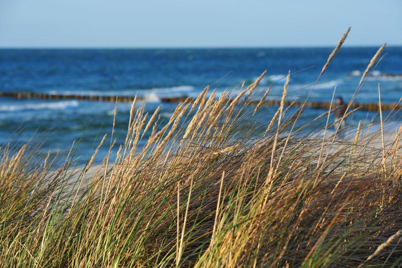 Seestr_54 Nr_304 Zingst Exterior photo