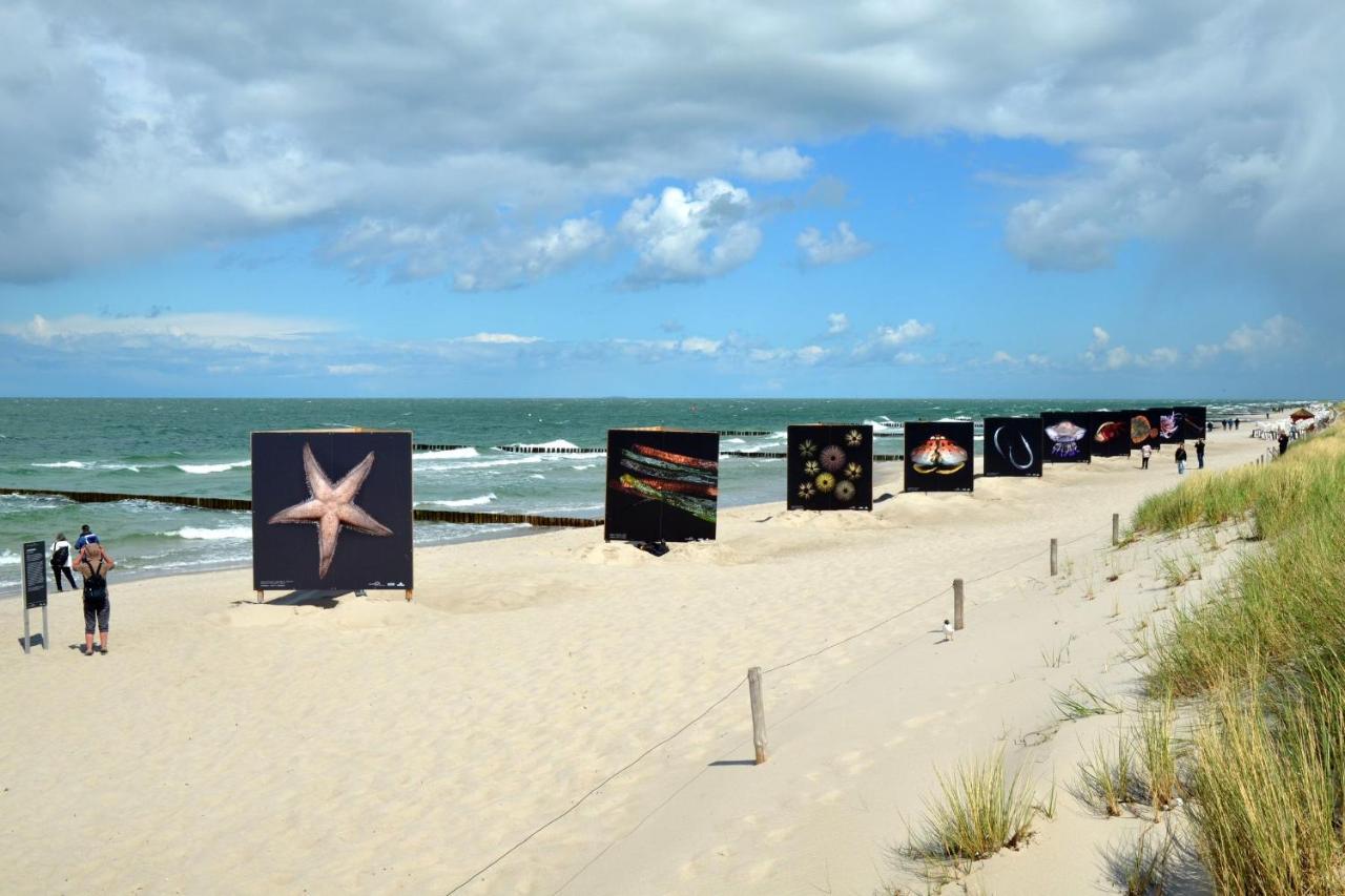 Seestr_54 Nr_304 Zingst Exterior photo