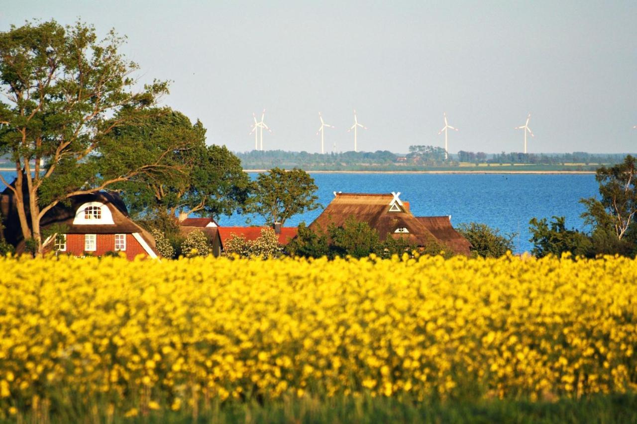 Seestr_54 Nr_304 Zingst Exterior photo